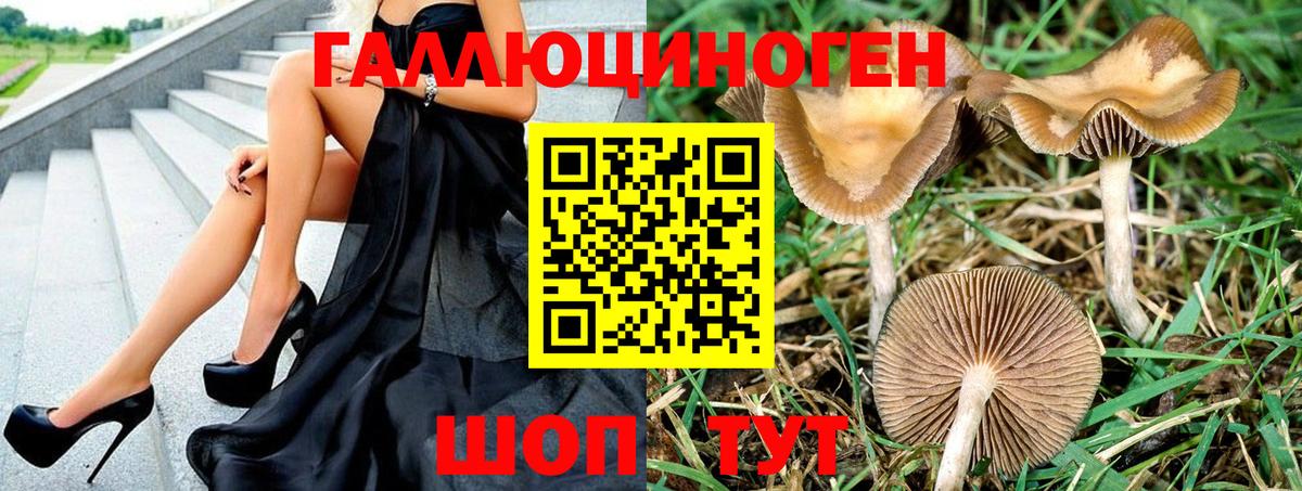 Галлюциногенные грибы Magic Shrooms Энгельс