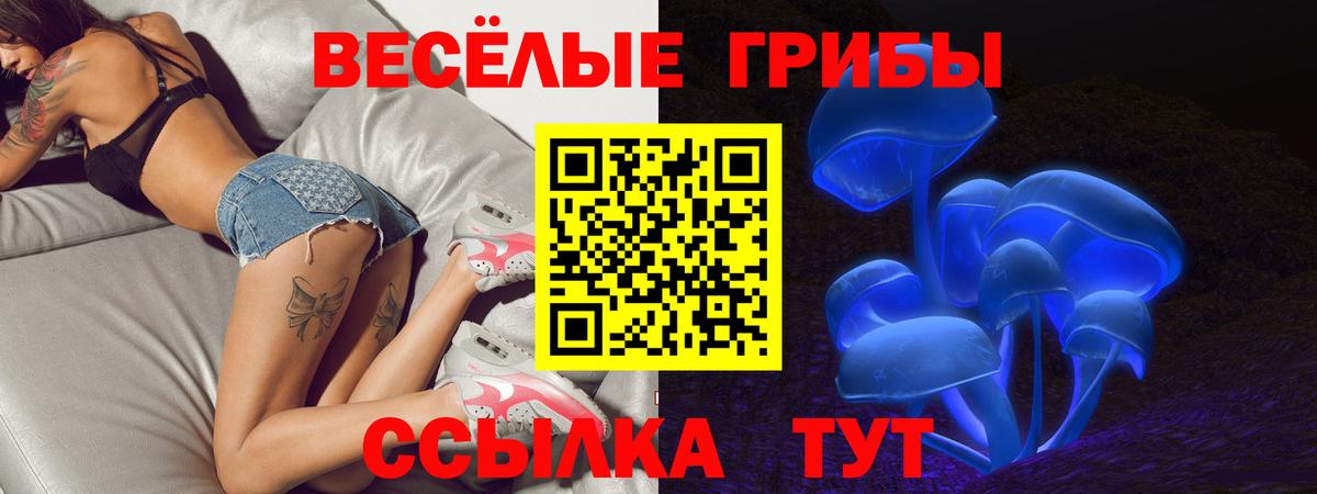 наркота  Вход с VPN  Галлюциногенные грибы прущие грибы  Энгельс  Галлюциногенные грибы Magic Shrooms 